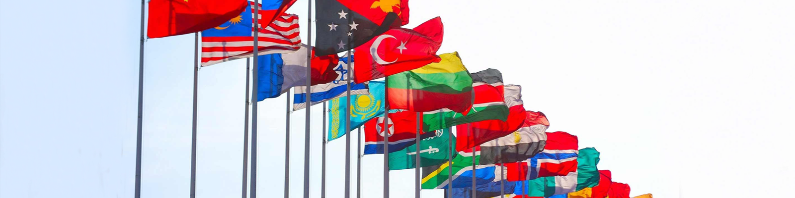 Countries of the World Flags for UTVs / Side-by-Sides - Forever Wave 12"x18" Flags